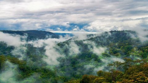 כיצד מתגלה חכמתו וכל-יכולתו של אלוהים בכך שהוא משתמש בשירותיהם של הממשל הקומוניסטי בסין ושל עולם הדת? (א')