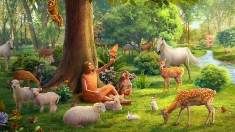 סיפור בראשית: מה היה רצונו של אלוהים שעמד מאחורי מתן שמות לכל החיות על ידי אדם?